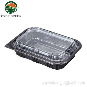 Plastic Disposable Meal Prep Picnic Food Storage Container